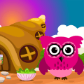 Pink Owl Rescue 3 Best Escape Game-298安全下载