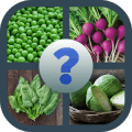 游戏下载Guess the vegetable