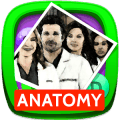 Greys Anatomy Trivia Quiz绿色版下载