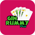 Gin Rummy Guide Plus无法安装怎么办