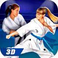 Fighting Girls Karate Battle Arena 3D玩不了怎么办