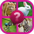 Guess The Animals Quiz安全下载