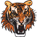 Angry Tiger - Anger Relief无法打开