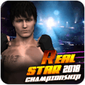 Real Star Boxing Punch : 3D Wrestling Championship费流量吗