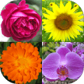 Flowers - Botanical Quiz about Beautiful Plants占内存小吗