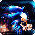 Subway Sonic Run Adventures Jungle Temple Run 3D免费下载