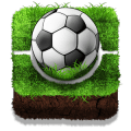 Soccer Puzzles绿色版下载