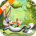 Looney Tun:Bugs Bunny Adventure无法打开