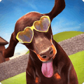 DOGS PARADISE : DOG GAMES怎么下载