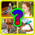 4 PICS 1 WORD ANSWERiphone版下载