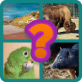 Nombres Animales Adivinariphone版下载