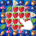 Fruits Garden Mania Blast安卓版下载