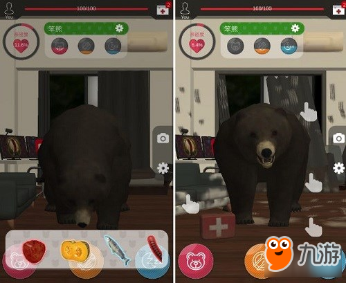 玩养成游戏《家有大灰熊》？和野生黑棕熊同居
