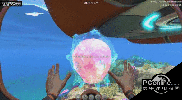 水下之旅最小生物排行榜TOP9 海底哪个生物最小？