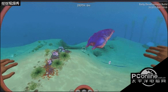 水下之旅最小生物排行榜TOP9 海底哪个生物最小？
