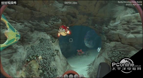 水下之旅最小生物排行榜TOP9 海底哪个生物最小？