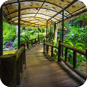 Escape Games - Nursery Garden