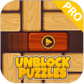 Unblock Puzzle Pro 2018无法打开