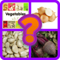 Vegetable Quiz Game 2018版本更新