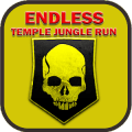 Endless Temple Jungle Run无法安装怎么办