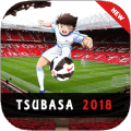 Tsubasa 2018 Pics破解版下载