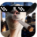 Loopy Goat: Artiodactyl Simulator占内存小吗