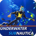 Underwater Subnautica占内存小吗