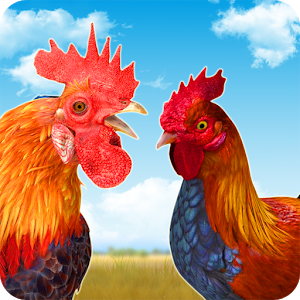 Rooster Race and Run Game