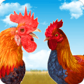 Rooster Race and Run Game官方下载