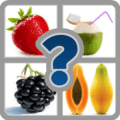 Fruit Quiz - Tiles下载地址