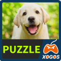 Labrador Retriever Dog Puzzle费流量吗