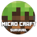 Micro Craft: Survival手机版下载