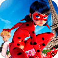 Ladybug Miraculous*无法打开