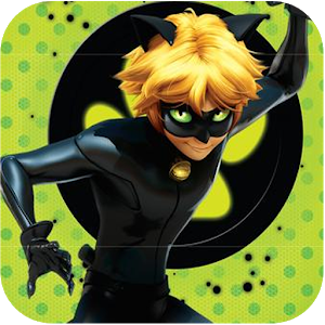 Cat noir Miraculous *