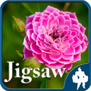 Flower Jigsaw Puzzles