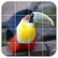 Tile Puzzles · South America官方下载