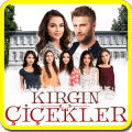 Kırgın Çiçekler Bilgi Yarışması最新版下载