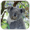 Tile Puzzles · Australia安全下载