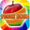 Tebak Buah-Buahan 2018绿色版下载