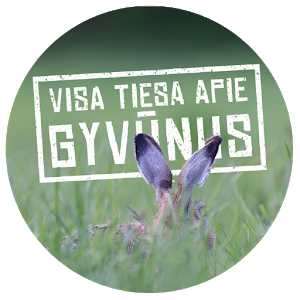 Visa tiesa apie gyvūnus