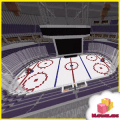 Map Ice Hockey Arena for MCPE玩不了怎么办