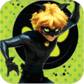 Cat noir Miraculous*安卓手机版下载