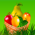 FruitsCatcher - Game For Kids安卓手机版下载