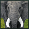 游戏下载Wild Elephant Simulator