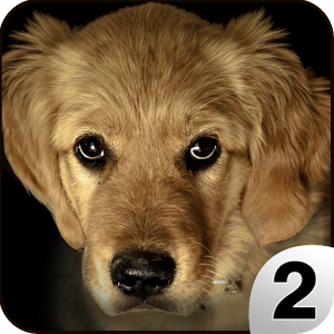 Find a Dog 2 - Hidden Object