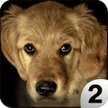 Find a Dog 2 - Hidden Object终极版下载