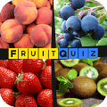 Fruit Quiz Game怎么安装