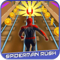 Subway Spider rush终极版下载