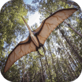 Pterosaur Flight Simulator 3D最新版下载