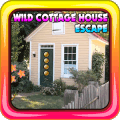 Wild Cottage House Escape下载地址